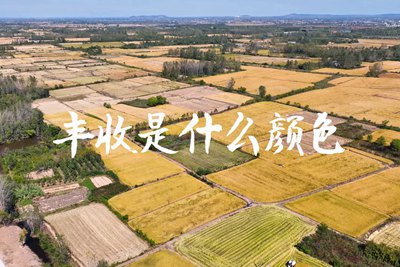 春種一粒粟，秋收萬顆子。多彩的豐收季，只愿五谷豐登，百事興旺3.240_400.jpg