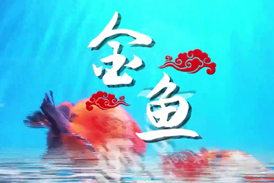 金魚歡躍，流光溢彩！_400.jpg